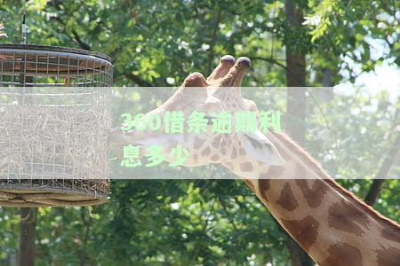 逾期利息多少，解答你的疑惑：逾期利息究竟是多少？