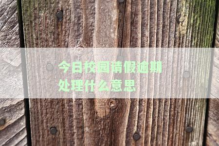 今日校园请假期申请是什么？详解含义与原因