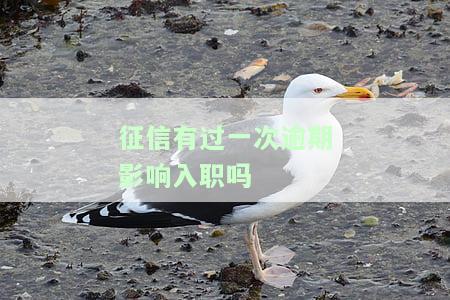 征信有一次逾期记录会影响考公务员吗？