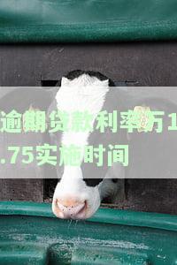 贷款逾期利率多少，了解贷款逾期利率：影响还款的重要因素