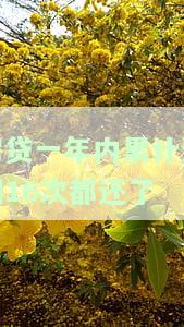 房贷一年内逾期次数的影响：可能面临诉讼及严重后果