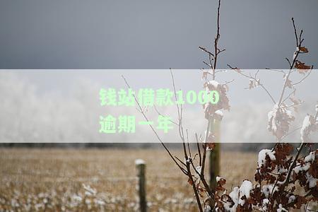 钱站我借6000逾期一年，其他借款也已逾期超过一年