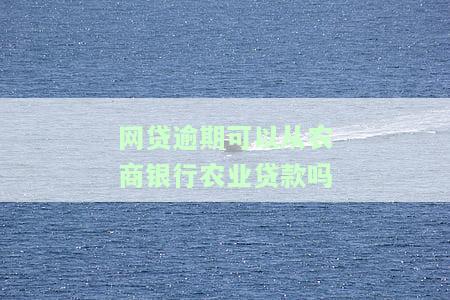 网贷逾期能否申请农商银行农业贷款？安全性如何？