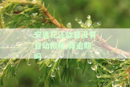 安逸花还款日没有自动扣款,算逾期吗，安逸花还款日未自动扣款，是否算作逾期？