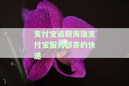 支付宝逾期寄资料是什么资料，关于支付宝逾期，需要寄送哪些资料？