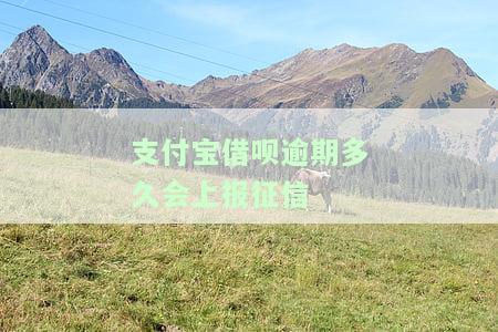 支付宝借呗逾期多久会上报征信