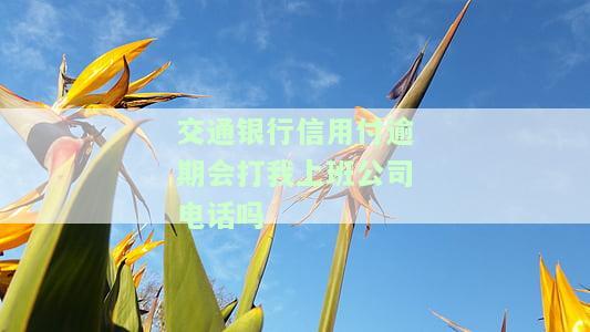 交通银行逾期8天，能否通过客服避免上征信？逾期两天银行催收，是否会上报？已逾期，明天可能上门，如何应对？