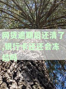 网贷逾期后还清了,银行卡还还会冻结吗怎么办，网贷逾期后还款，银行卡会继续被冻结吗？解决方案大揭秘！