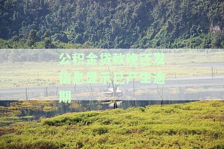 公积金贷款晚还发信息显示已产生逾期怎么办，如何处理公积金贷款逾期问题：晚还款后收到逾期通知的解决方案