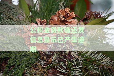 公积金发信息说逾期：真实性、原因解析
