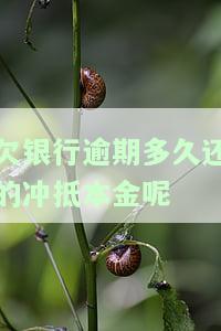 欠银行逾期多久还的冲抵本金及利息计算方法