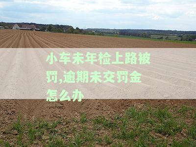 小车未年检上路被罚,逾期未交罚金怎么办