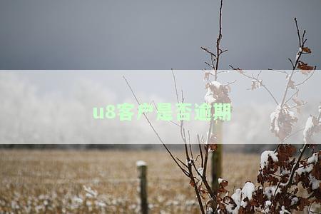 u8客户是否逾期