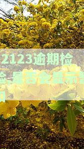 12123逾期未检验车辆如何处理？是否需要本人前往办理？年检最晚可逾期多久？