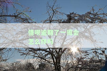 借呗逾期一周会有什么后果？有奖问答！