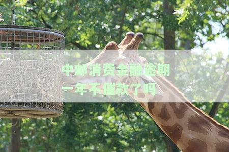 中邮消费金融逾期一年未催款？解决方案在这里！