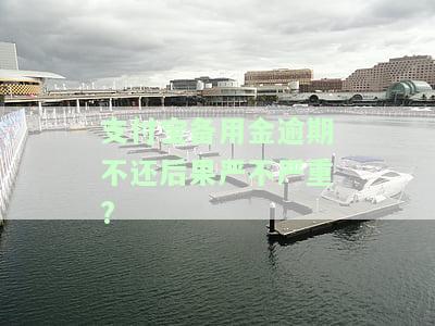 支付宝备用金逾期几天后果严不严重？逾期后多久能恢复正常使用？