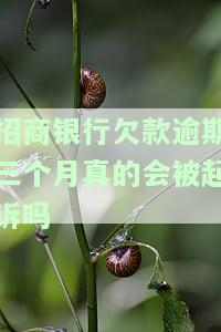 招商银行逾期3个月说的起诉和报案了，招商银行逾期三个月，已被起诉并报警