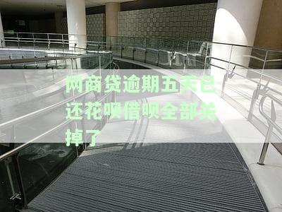 网商贷逾期五天已还，花呗、借呗全关，影响如何？