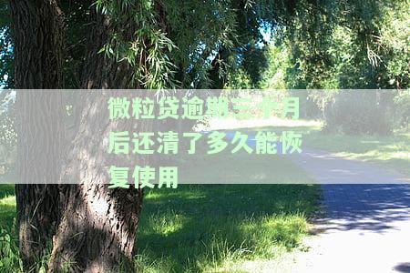 微粒贷逾期三个月会否被起诉？