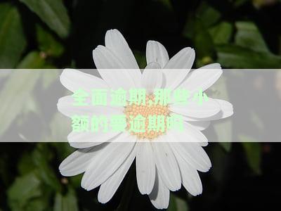 小额逾期：多少钱算逾期？金额围是多少？
