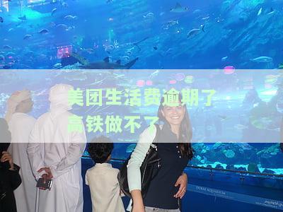 美团生活费逾期会被限制乘高铁飞机吗，美团生活费逾期：是否会受限于乘坐高铁和飞机？