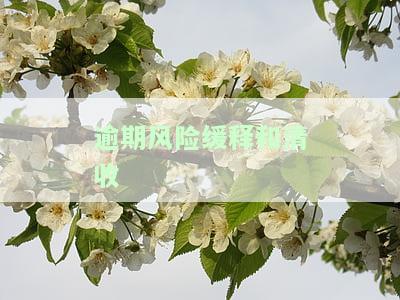 信贷风险缓释：措、方法与实践