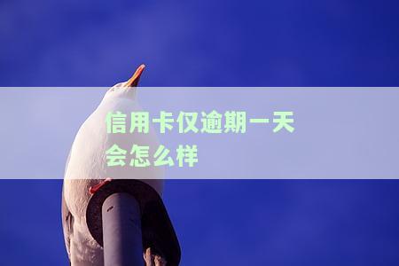 信用卡逾期1天会留下不良记录及影响吗？