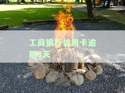 工商银行信用卡逾期8天会有什么后果？