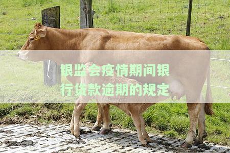 银监会对疫情期间逾期，银监会出台政策：疫情期间逾期可申请期还款