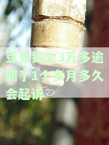 豆豆钱逾期3天了,实在没有钱还,怎么办，急需解决！豆豆钱逾期3天，无法偿还，求援助