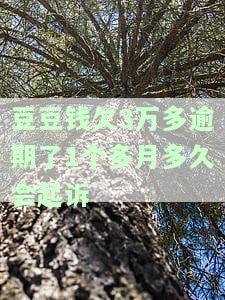 豆豆钱欠3万多逾期了1个多月多久会起诉-豆豆钱欠款三个月后有什么恶劣的后果
