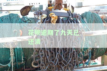 花呗逾期了九天已还清还能用吗，花呗逾期九天已还款，能否继续使用？