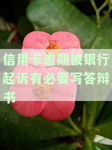 如何写被信用卡起诉答辩状以求减免？附文