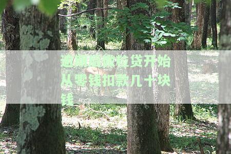 逾期后微粒贷真的会从零钱扣款吗？几十块钱被扣是否真实？