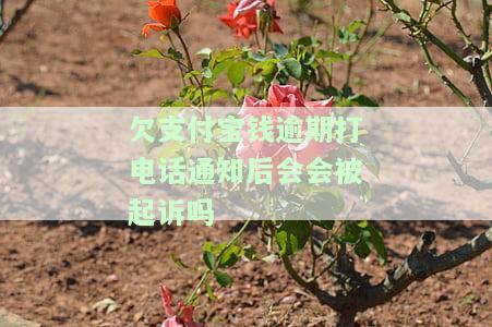 支付宝逾期了,打电话来，紧急通知：您的支付宝出现逾期，需立即处理！