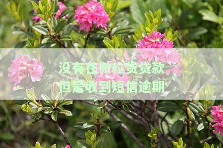 没有在微粒贷贷款但是收到短信逾期怎么办，收到微粒贷逾期催款短信，但我并未借款，该如何处理？