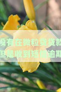 我没有借微粒贷却收到催款信息，该怎么办？