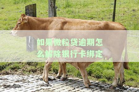微粒贷逾期怎样解绑银行卡，如何解决微粒贷逾期问题并解绑相关银行卡？