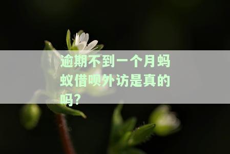 借呗逾期一个月，真会安排外访吗？该如何处理？