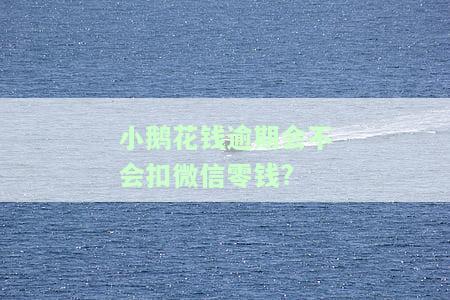 小鹅花钱逾期是否会上征信？影响大吗？
