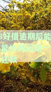 58好借逾期后能不能协商后期一次性还款-58好借逾期后能不能协商后期一次性还款呢
