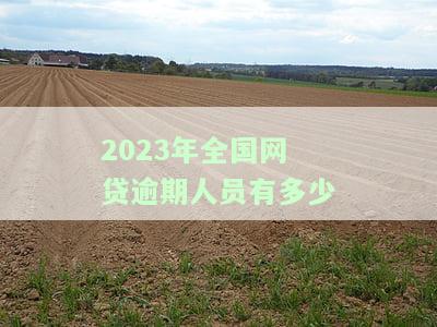 2023年全国网贷逾期人员数量统计：最新数据与历趋势分析