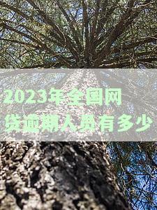 2023年全国网贷逾期人员有多少