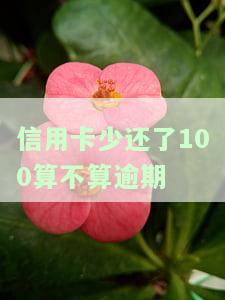 信用卡少还了100算不算逾期