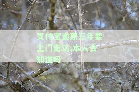 支付宝逾期三年了,对方说要上门可以协商吗，支付宝逾期三年，对方声称将会上门催收，能否进行协商解决？