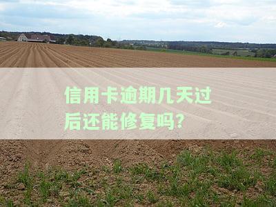 信用卡逾期几天过后还能修复吗怎么办，信用卡逾期后如何修复？几天之内还有机会吗？