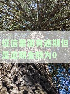 征信显示逾期但金额为0，如何理解？