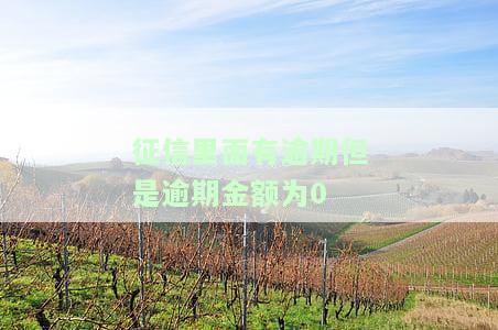 征信报告显示逾期金额为0，您的征信报告：逾期金额显示为0，信用状况良好！
