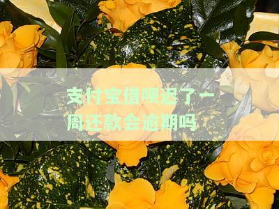 支付宝借呗了一周还款会逾期吗-支付宝借呗了一周还款会逾期吗怎么办
